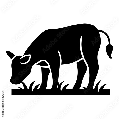 Silhouette of a calf grazing in grass.
