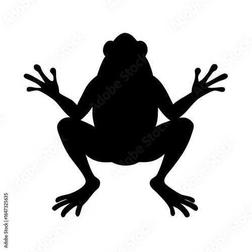 Silhouette of a frog in a squatting position.

