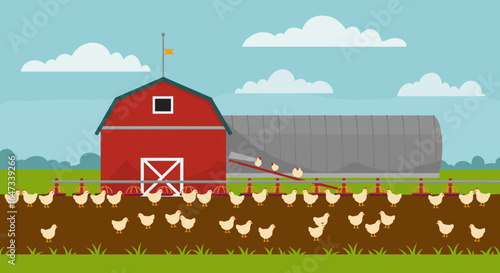 Flat design farm landscape with chickens and barn