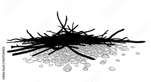 driftwood and seashells a black and white illustration perfect for coastal designs natureinspired projects and nautical themes evoking serenity and coastal calm