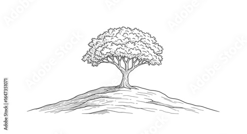 solitary tree on hilltop illustrative line art for ecofriendly branding nature conservation projects and growth concepts