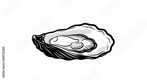 fresh oyster illustration perfect for seafood restaurant menus oyster bar branding and culinary websites seeking a stylish elegant design