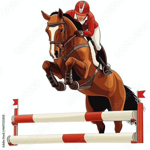 Jumping Show Jumper with Horse Over Fence