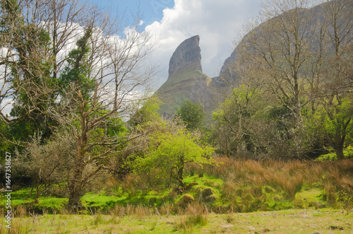 Принти на полотні Eagles Rock in County Leitrim, Ireland