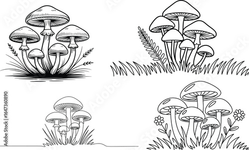 Line Art Mushroom Set Vector, Black and White Fungi Line Art Illustrations.