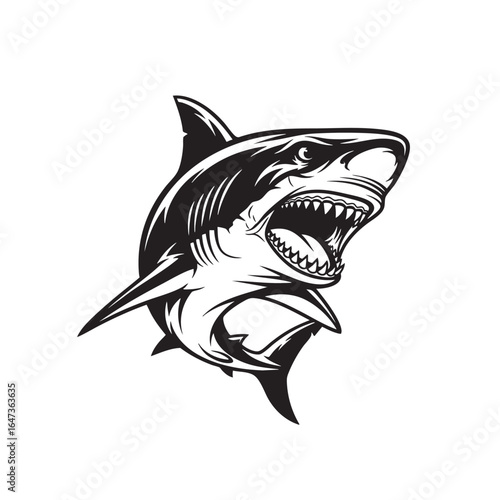 Aggressive black and white illustration of a shark with its mouth open and teeth bared marine life