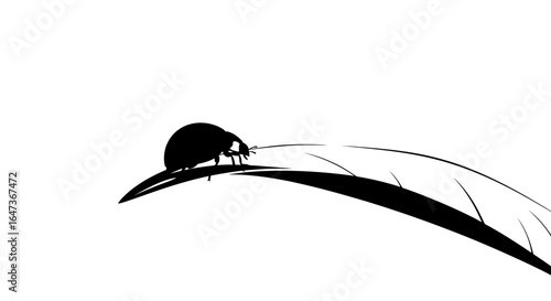 elegant black and white ladybug silhouette on a leaf perfect for nature minimalist designs and ecofriendly branding projects