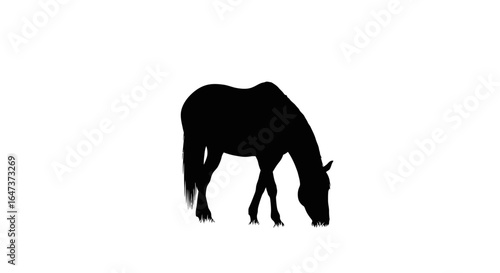 serene silhouette of a horse grazing perfect for ranch farm or equestrian branding websites and peaceful nature designs