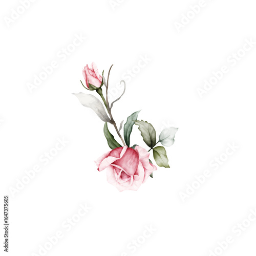 Beautiful pink roses with watercolor leaves