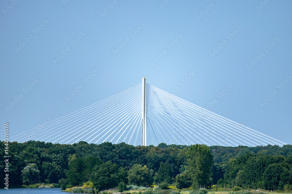 Obraz premium Modern cable-stayed bridge with a tall central pylon rises above a lush green forest under a clear blue sky