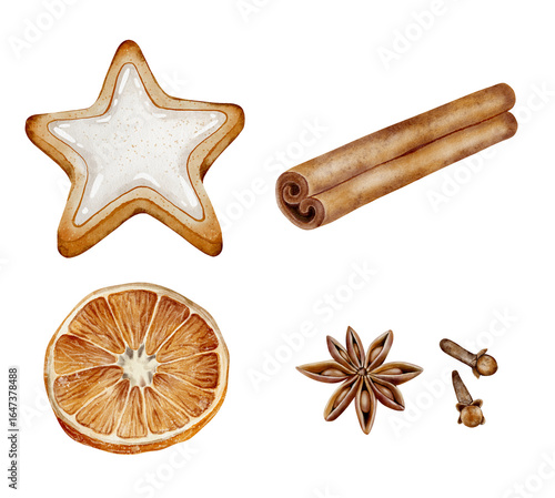 A set of watercolor illustrations: star anise, cloves, cinnamon sticks, dried orange and star-shaped gingerbread. Isolated on a white background. For recipes, packaging and winter projects