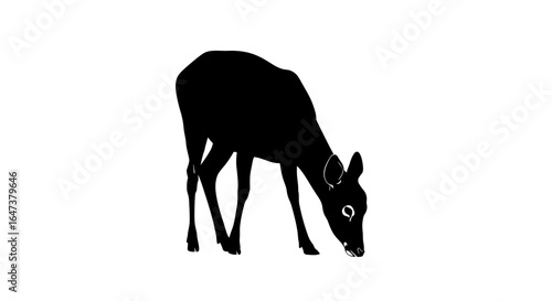 serene fawn silhouette elegant black and white wildlife image for ecofriendly brands nature documentaries and peaceful designs