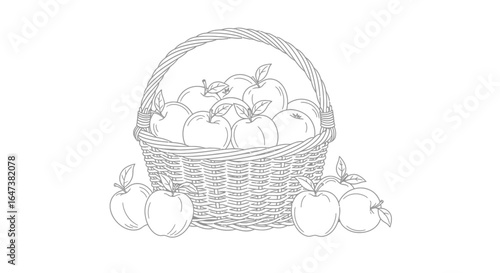 a basket of fresh apples perfect for farmtotable branding rustic designs and fall harvest illustrations