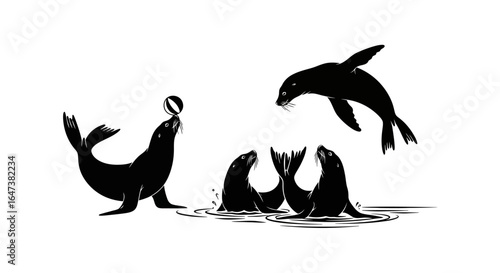 sea lions performing amazing circus tricks perfect for branding entertainment aquatic shows and marine life conservation projects