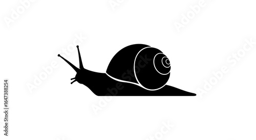 black snail silhouette perfect for slow and steady nature patience or perseverance concepts in design websites and branding