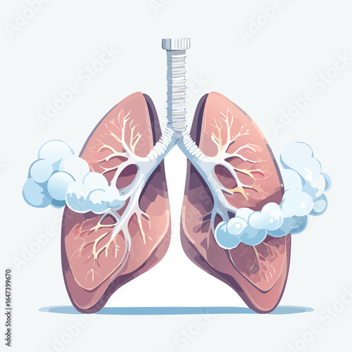 Anatomical illustration of human lungs depicting the respiratory system and its components.