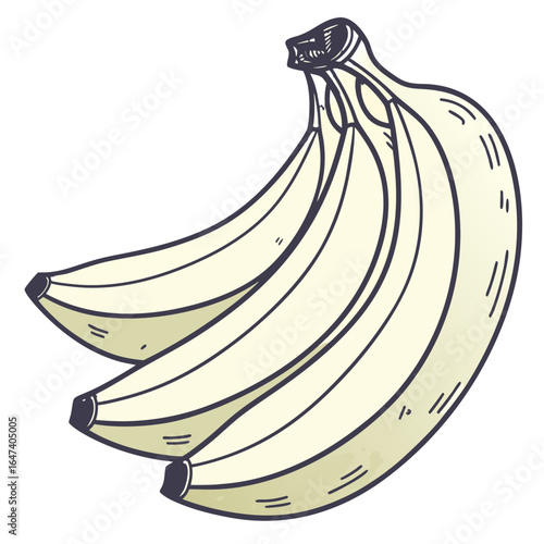 Handdrawn illustration of a bunch of bananas isolated on white background