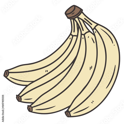 Bunch of bananas isolated on white background