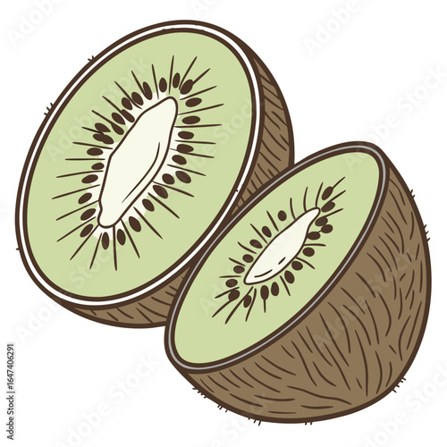 Two halves of a kiwi fruit isolated on white background