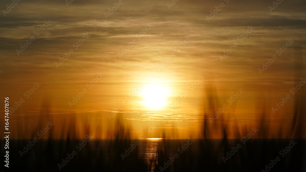 sunset Over the Ocean Through Wild Grass in Rural Rice Field Countryside in Noto, Japan sunset Over the Ocean Through Wild Grass in Rural Rice Field Countryside in Noto, Japan