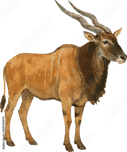 Vector watercolor illustration of a giant eland antilope