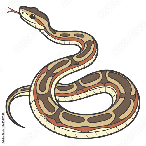 Cartoon python snake coiled with forked tongue flicking, isolated on white background