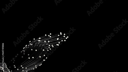 white seamless looped abstract animation. Flowing sharp-ended lines with sphere tips in smooth organic motion. Perfect for VJ loops, event visuals, backgrounds, and digital