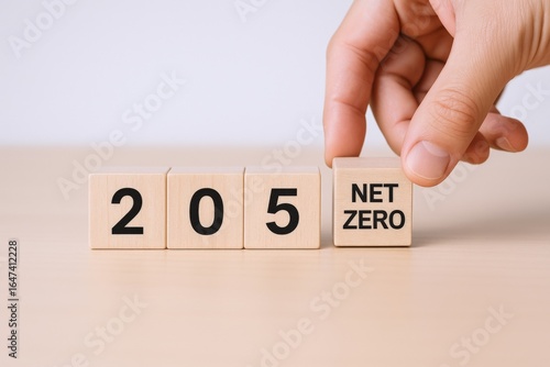 Achieving Net Zero Emissions by 2050: Wooden Blocks Concept for Sustainable Future and Climate Action
