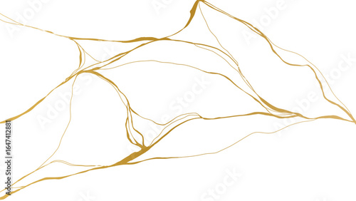 luxury marble texture pattern of Golden kintsugi crack. Vector horizontal backdrop poster background with intertwine graceful veins. gold broken seams