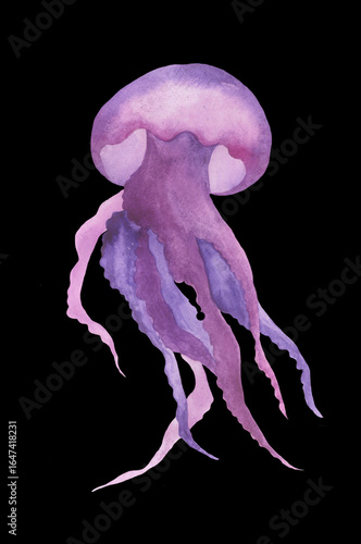 purple jellyfish watercolor illustration on black background