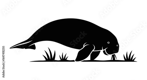 elegant manatee silhouette perfect for marine conservation ecofriendly branding and tropical designs
