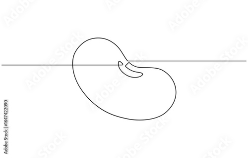 Continuous Line Drawing , Bean icon.
