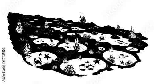 ocean floor tide pools black and white silhouette illustration for childrens books marine biology education or oceanthemed designs
