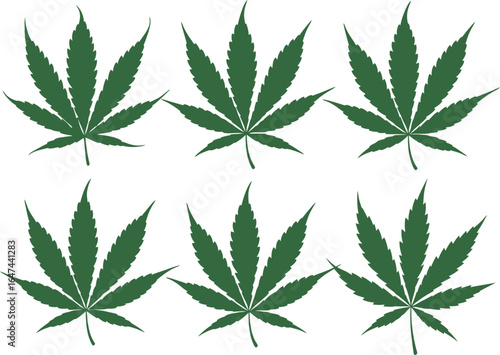 Set of green cannabis leaves isolated on white background, hemp leaf illustration, natural herbal plant vector design