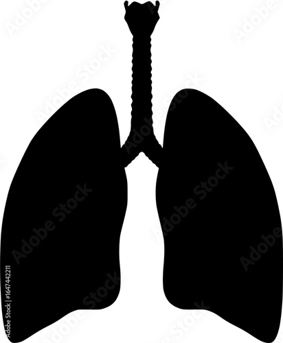 Human Lungs: A Silhouette Representation