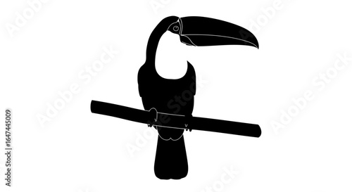 striking toucan silhouette elegant black and white bird illustration for tropical designs logos and branding projects