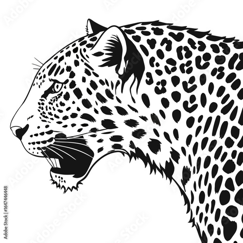 Vector art of closeup profile view of a spotted jaguar or leopards head, isolated on white background, showing its open mouth and sharp teeth