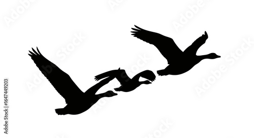 three geese in flight teamwork migration and freedom perfect for nature travel and collaboration designs