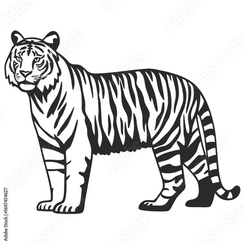 Vector Illustration Of Back and white Tiger Silhouette – Isolated on White Background