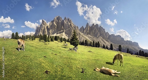 Panoramic view on Gschnagenhardt Alm alp with Haflinger horses and the Geisler Mountains, Villnoesstal valley, Puez-Geisler Nature Park, province of Bolzano-Bozen, Italy, Europe