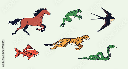 Set of diverse cartoon animals in various dynamic poses on a clean studio background