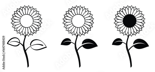 Cartoon sunflowers icon. Sunflower line pattern. Summer, yellow sun flower plant. Known for their large, yellow flower heads that follow the sun.