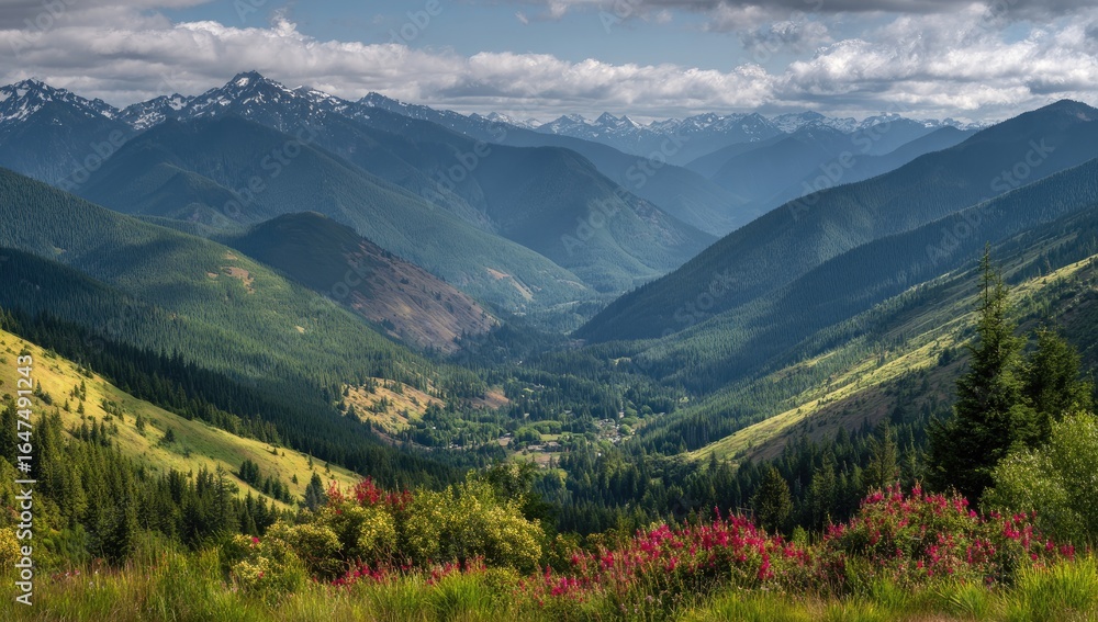 Obraz premium Mountain valley vista