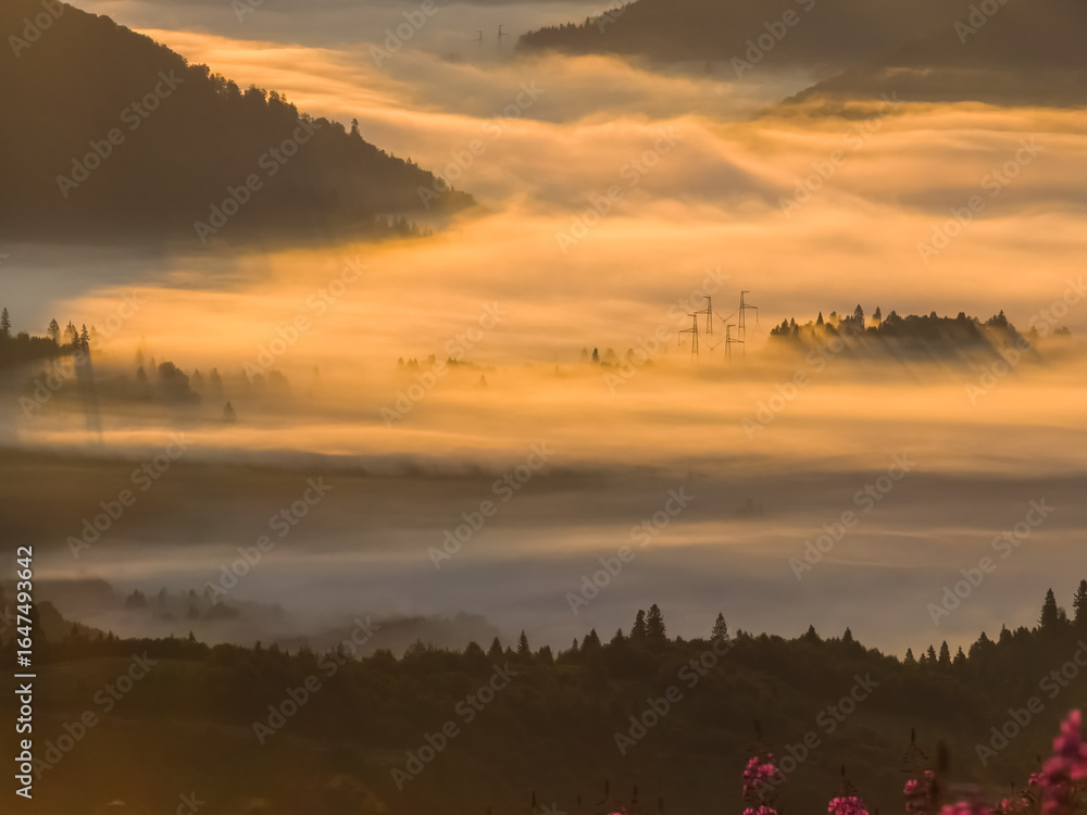Obraz premium A serene misty sunrise bathes forested hills in golden light, with silhouettes of trees and power lines creating a tranquil yet modern landscape, ideal for nature and energy-themed projects.