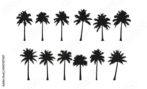 Palm Tree Collection – Exotic Silhouette Icons
