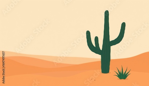 cactus in the desert