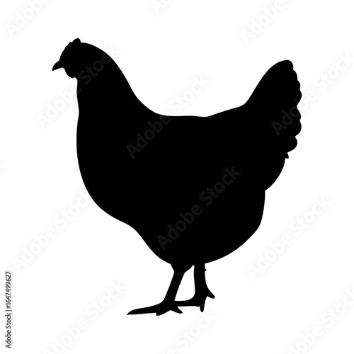 Chicken silhouette vector image for farm animals poultry livestock and agriculture design needs