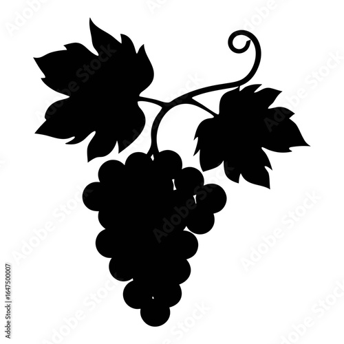 Silhouette grape vine illustration for vineyard wine making and fruit harvest designs and projects