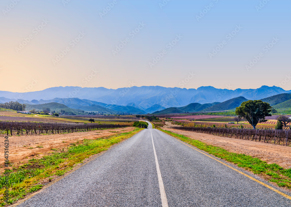Naklejka premium Rural winding road leading to the Langeberg Mountains, Robertson, South Africa