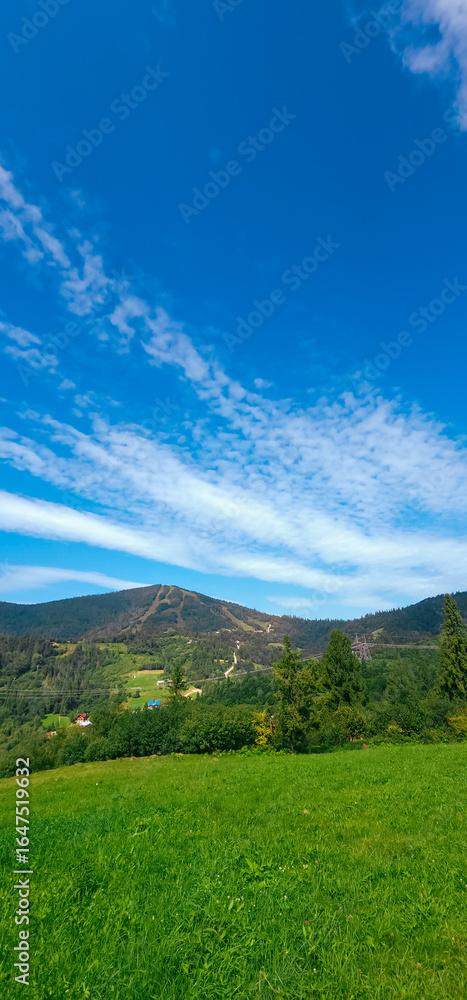 Fototapeta premium A vibrant green meadow foregrounds a forested hill under a bright blue sky with wispy clouds, evoking peace and nature, suitable for wellness, travel, and eco-friendly promotions.